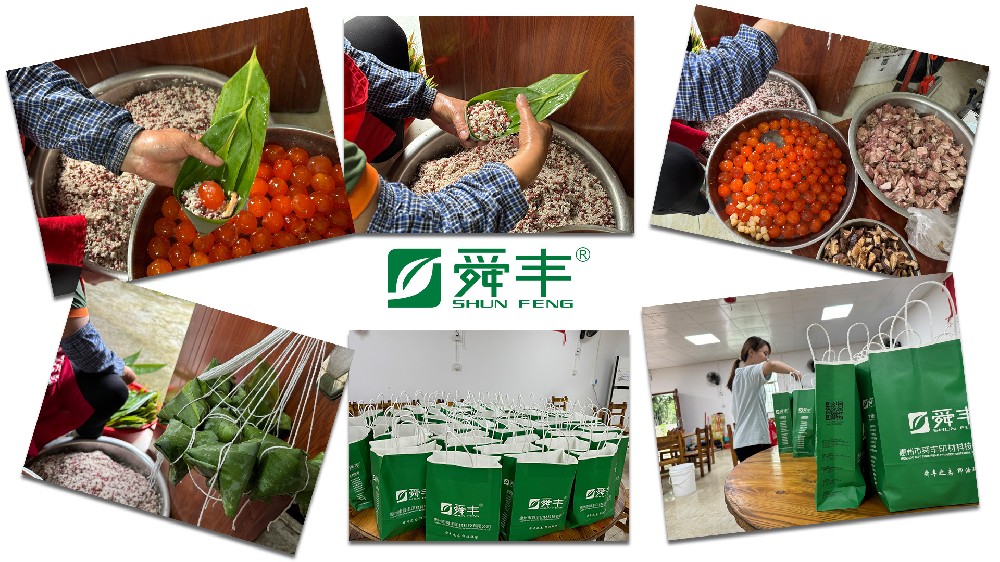 端午粽香濃情獻(xiàn)禮，共筑綠色與溫情的雙重祝福